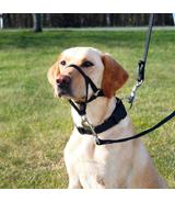 Kantar - Top Trainer - rozmiar L-XL/5