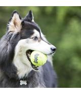 SqueakAir Ball XL Kong