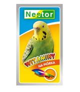 Witaminy dla małych papug 20g - piórka