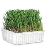 Kocia Trawa -  ok 130g.