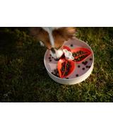 Spin Interaktywna miska Flower