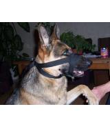 Kantar, obroża uzdowa, halti - regulowany