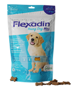 Flexadin Young Dog Maxi 60 kęsów