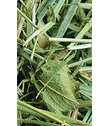 Sianko z miętą 300g