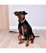 Obroża Color Comic Book S