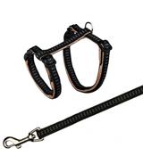 Komplet dla kota - 27-44cm/10mm