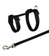 Szelki i smycz dla świnek morskich