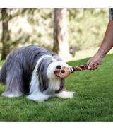 Wubba Floppy Ears L Kong