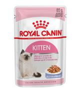 Royal Canin Kitten w galaretce 85g