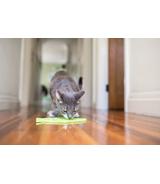 Mata LICKIMAT Casper