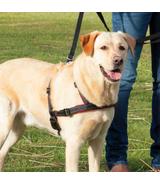 Szelki treningowe Lead'n'Walk Soft S-M