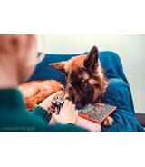 Mata LICKIMAT Buddy Tuff/Delux