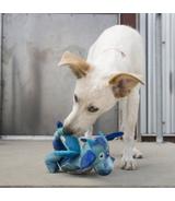 Knots Dragon M/L Kong