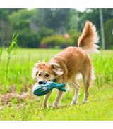 Cuteseas Whale S Kong