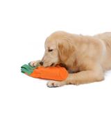Marchewka - zabawka dla psa