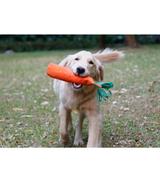 Marchewka - zabawka dla psa