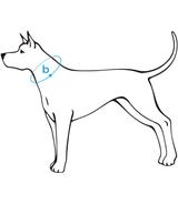 Obroża regulowana z blokadą Cotton L