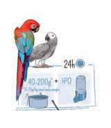 Puur Parrot 2kg