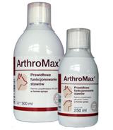 ArthroMax 500ml