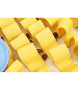 Mata węchowa Jeżyk