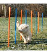 Slalom Agility - 115x3cm