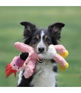 Knots Wild Bird M/L Kong