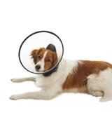 Kołnierz ochronny Buster Premium - M