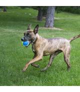 SqueakAir Ultra Balls L 2szt Kong