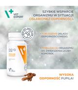 Immune System 30 kapsułek