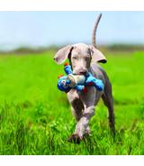 Cross Knots Monkey S/M Kong