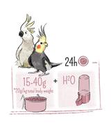 Puur large parakeet & cockatoo 2kg