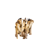 Noga jagnięcia 10 szt.