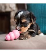 Kong Puppy XS