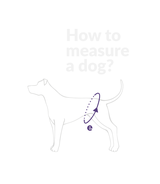 Majtki na cieczkę - XXL - 49-85cm