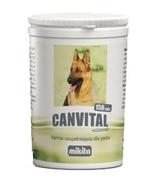 Canvital z czosnkiem - 150 tabletek