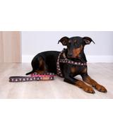 Smycz Color Very Scary 150 x 2 cm