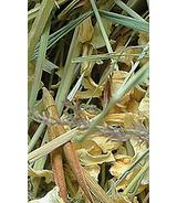 Sianko z kapustą 300g