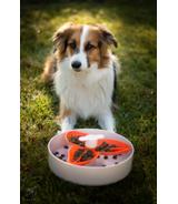 Spin Interaktywna miska Flower