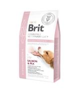 Brit Veterinary Diets Dog GF Hypoallergenic Salmon & Pea 2kg