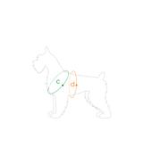 Szelki regulowane Easy Go Samba M