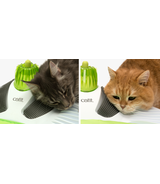 Centrum Wellness Catit