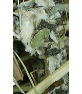 Sianko z podbiałem 300g