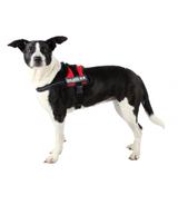 Szelki Julius-K9 - Gr.1 - M-L