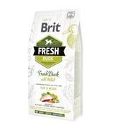 Brit Fresh Duck & Millet Run & Work - 2,5kg
