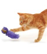 Active Cork Ball Kong Cat