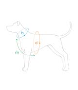 Szelki regulowane Guard Samba XL