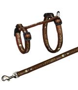 Komplet dla kotów ras dużych - 34–57cm/13mm