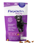Flexadin Adult Dog 60 kęsów