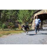 Smycz z amortyzatorem Ruffwear Roamer 2w1 - 2.2m
