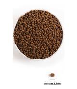 Acana Puppy Small Breed  6kg